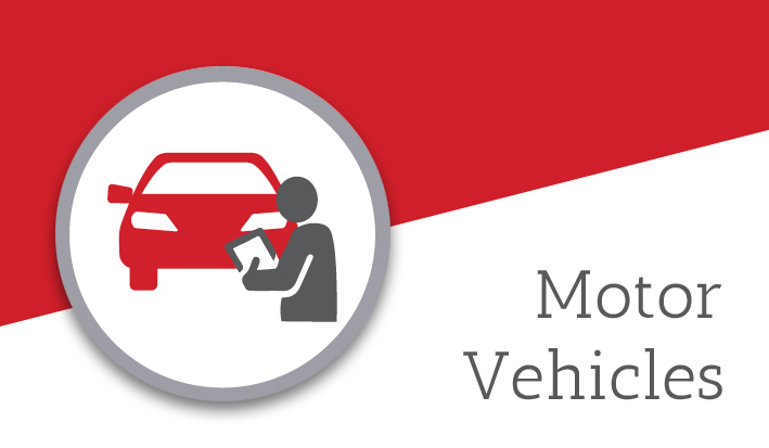 Motor Vehicles